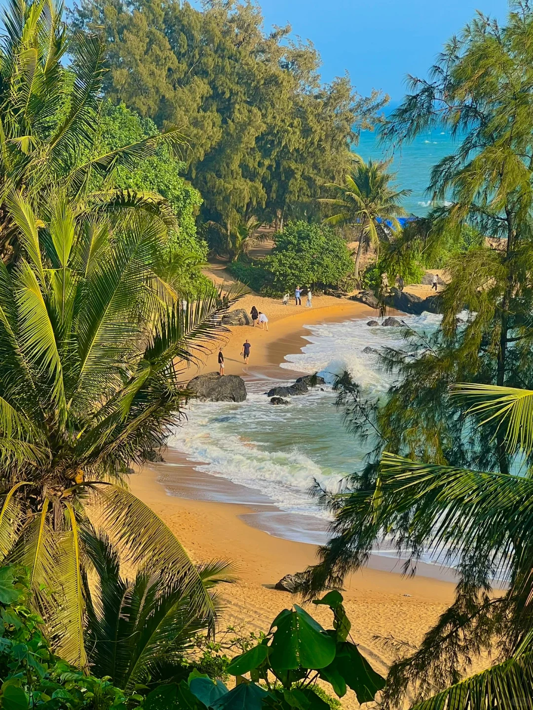 2024旅行结算｜我的年度live图