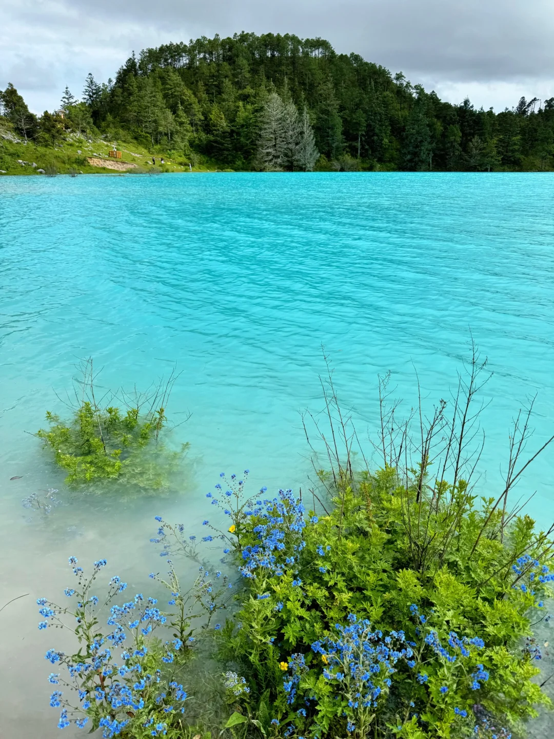 去了香格里拉,这野奢民宿后劲太大了,强推!