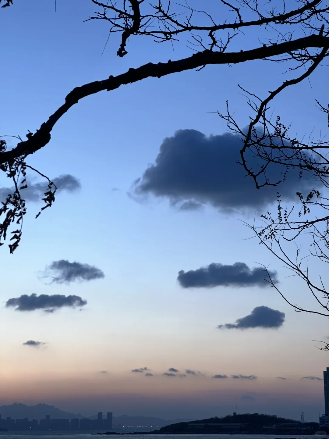 12.18青岛实况 | 从黄昏至蓝调人生moment+1