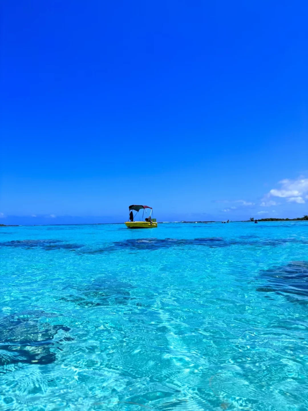 真心建议😅春节还是去斐济吧，划算哭😭