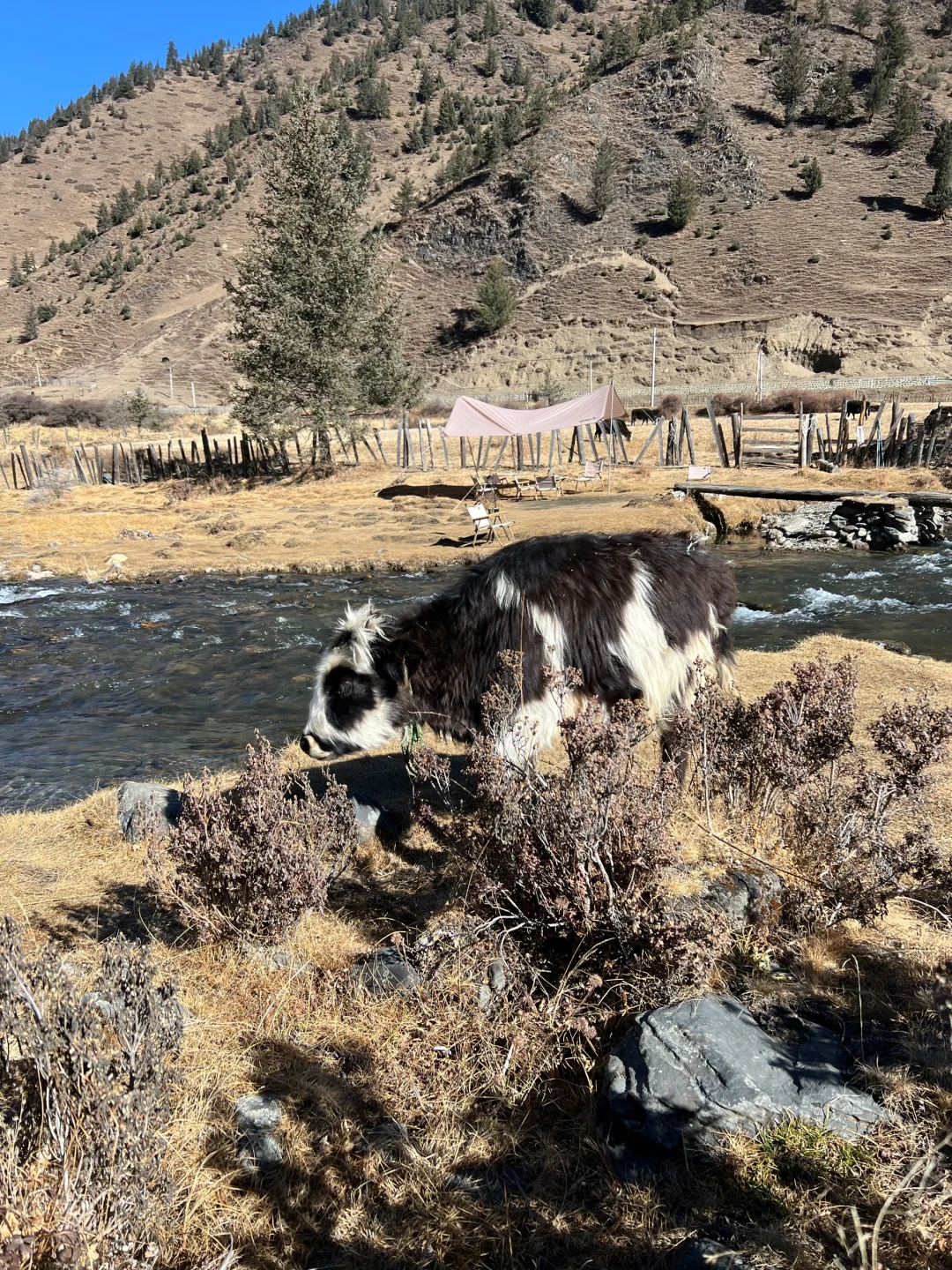 川西跟团已回,给大家避雷(永远不删)