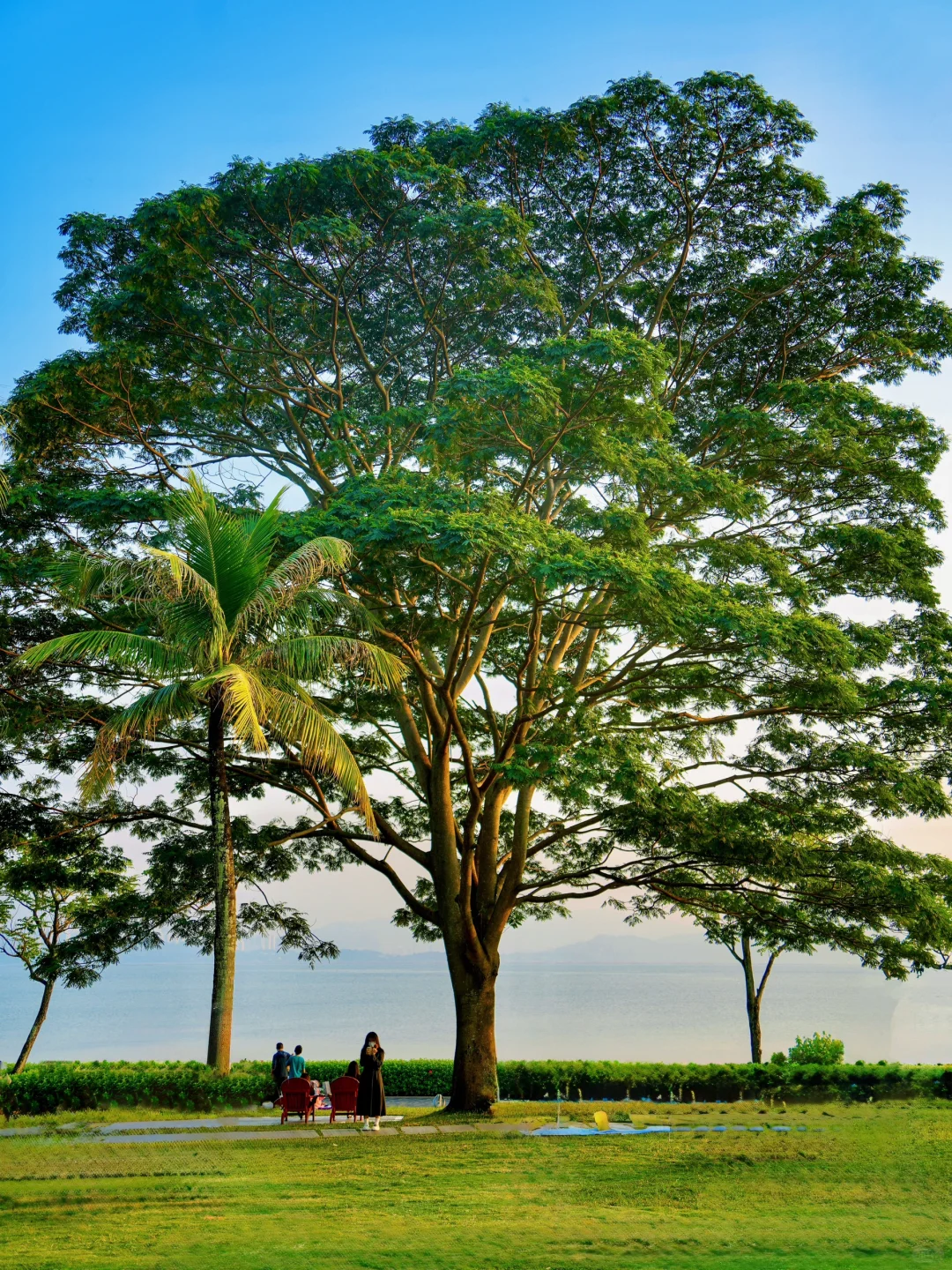 接下来深圳，堪称国内旅行天花板！附详细攻略
