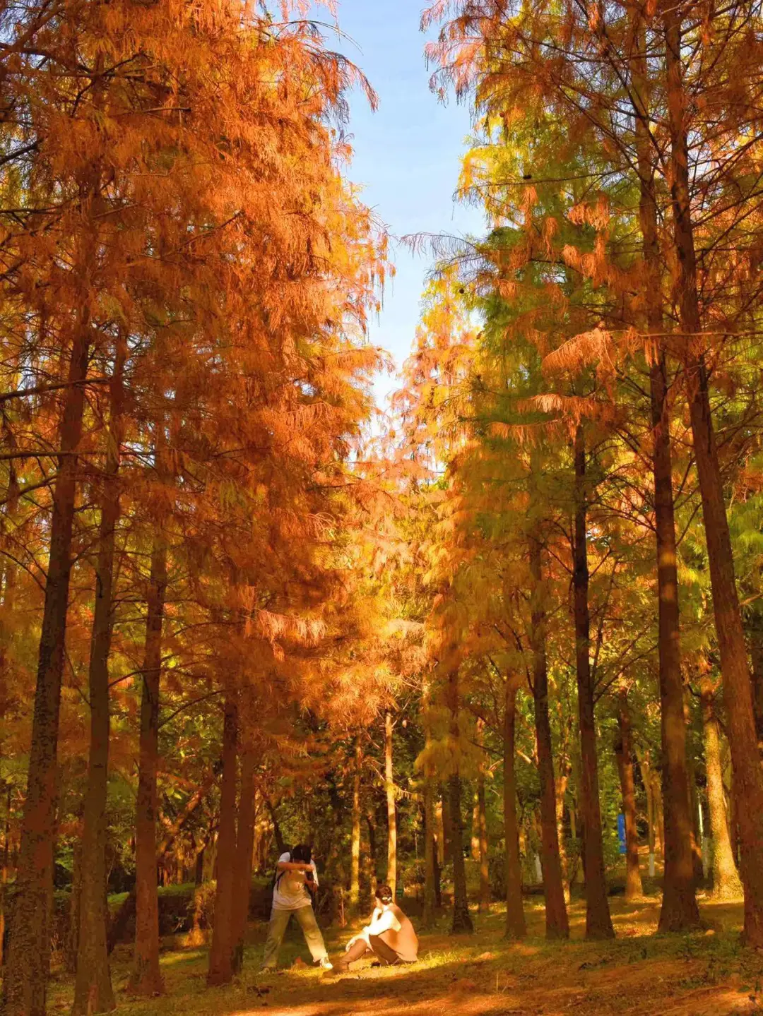 迄今为止，我最喜欢的世遗小城出现了！！！