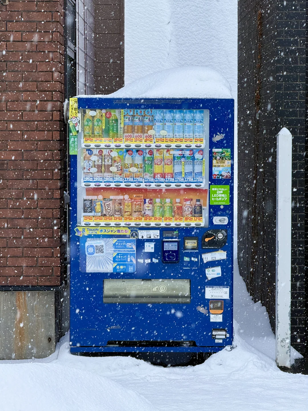 2024旅行结算｜我的年度live图