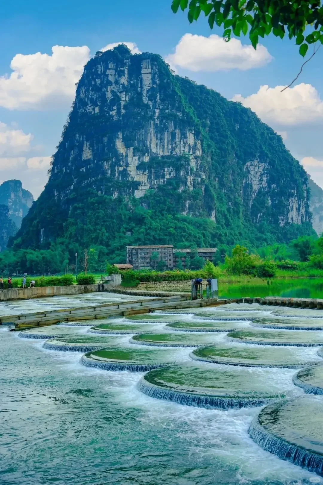 在三亚和崇左之间选择了崇左,22℃温暖过冬☀️
