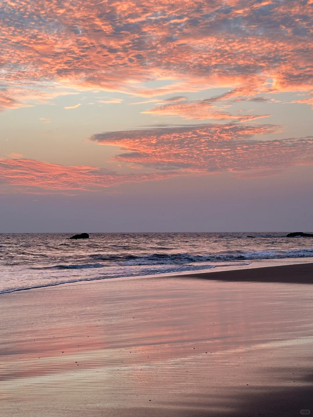 我放弃泰国了😭斯里兰卡真的又便宜又安全!