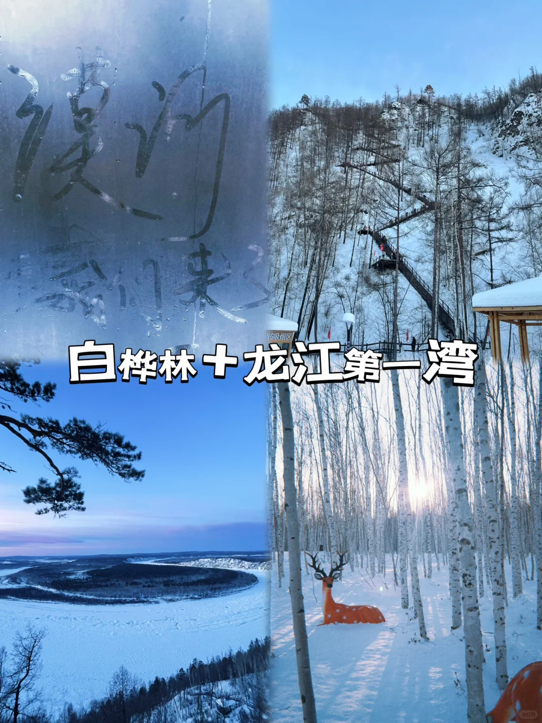 不跟团！东北8天7晚自由行🤩ʱªʱªʱª