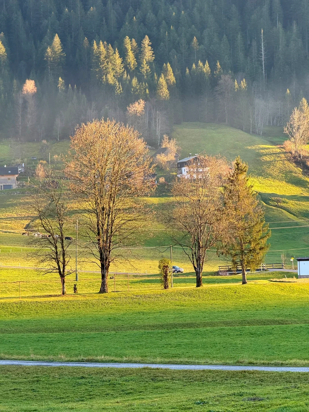 比起瑞士,我更爱这个被严重低估的宝藏国家