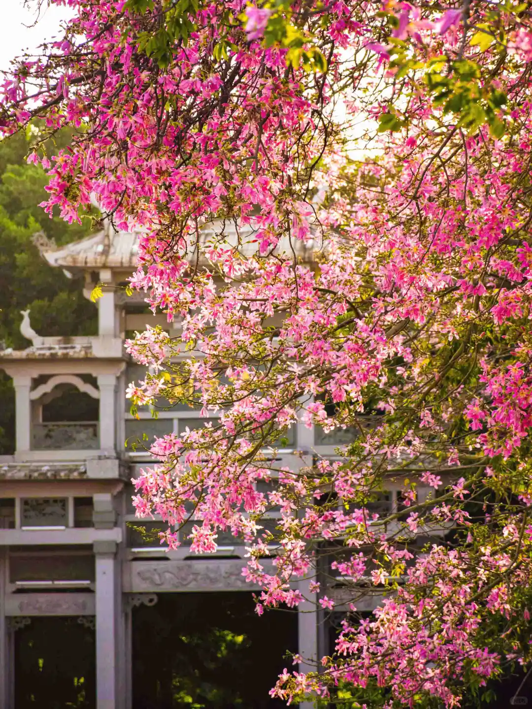 迄今为止，我最喜欢的世遗小城出现了！！！