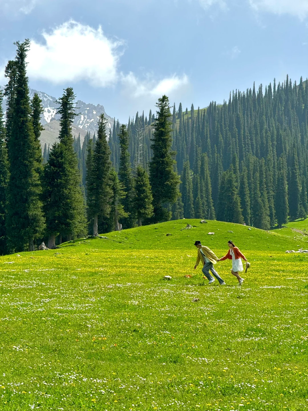 live图意义，终于找到了梦中的那片森林🌲