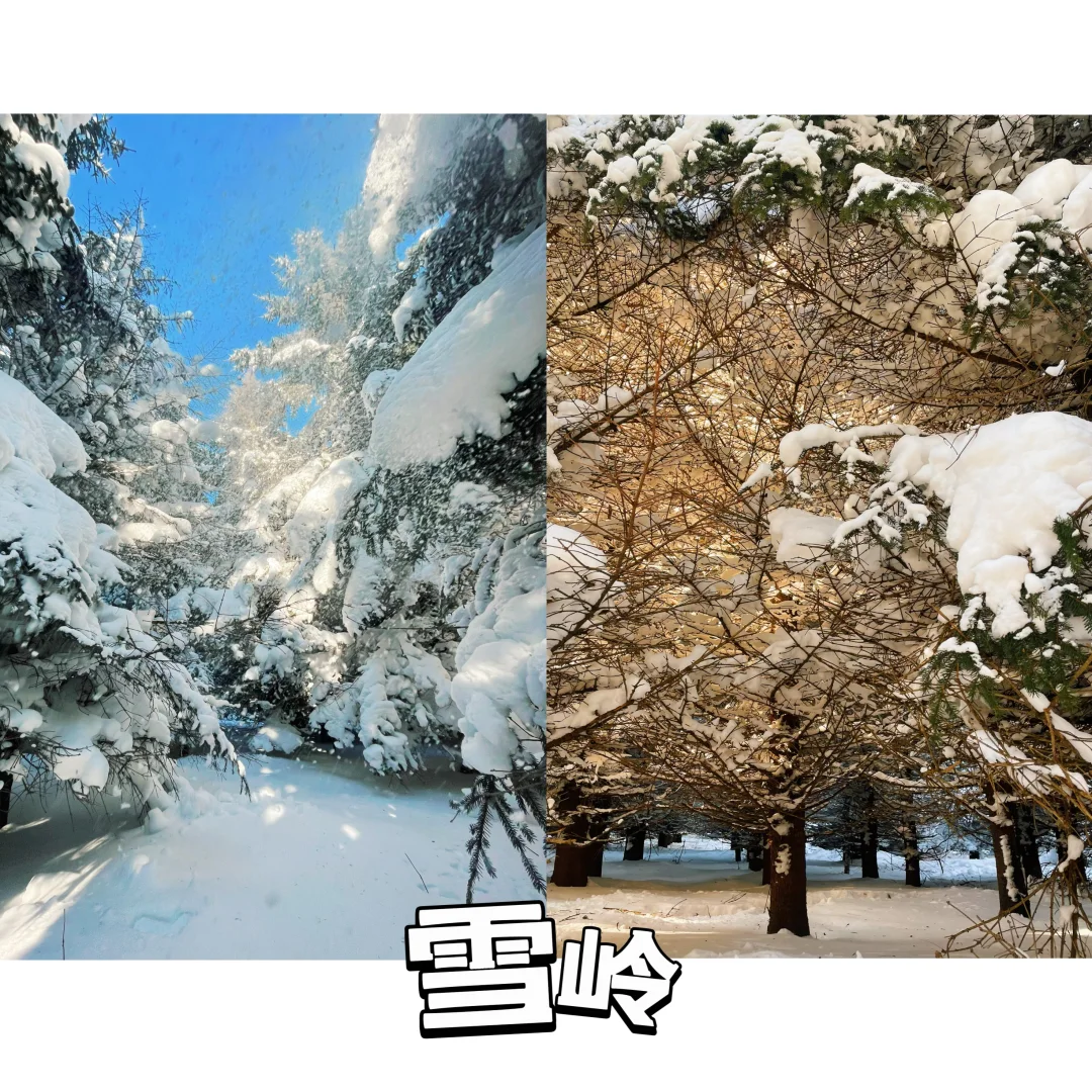 不跟团！东北8天7晚自由行🤩ʱªʱªʱª