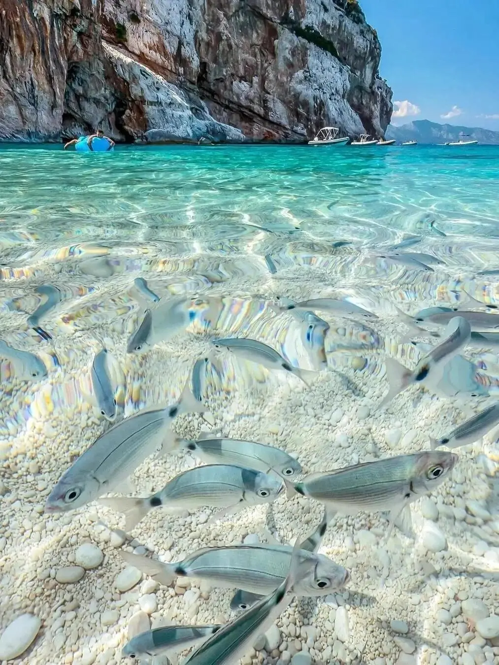 真心建议😅春节还是去斐济吧，划算哭😭