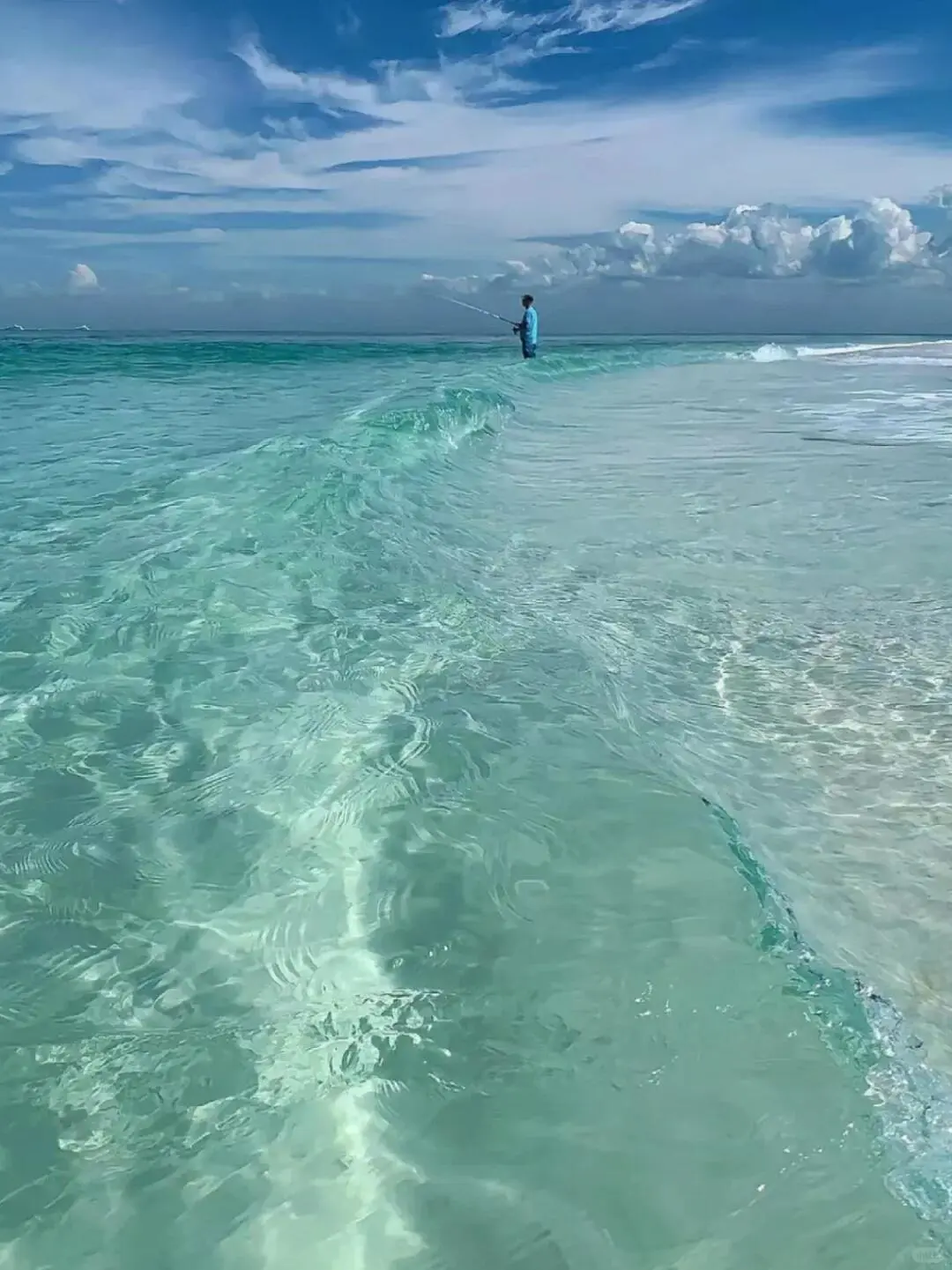真心建议😅春节还是去斐济吧，划算哭😭