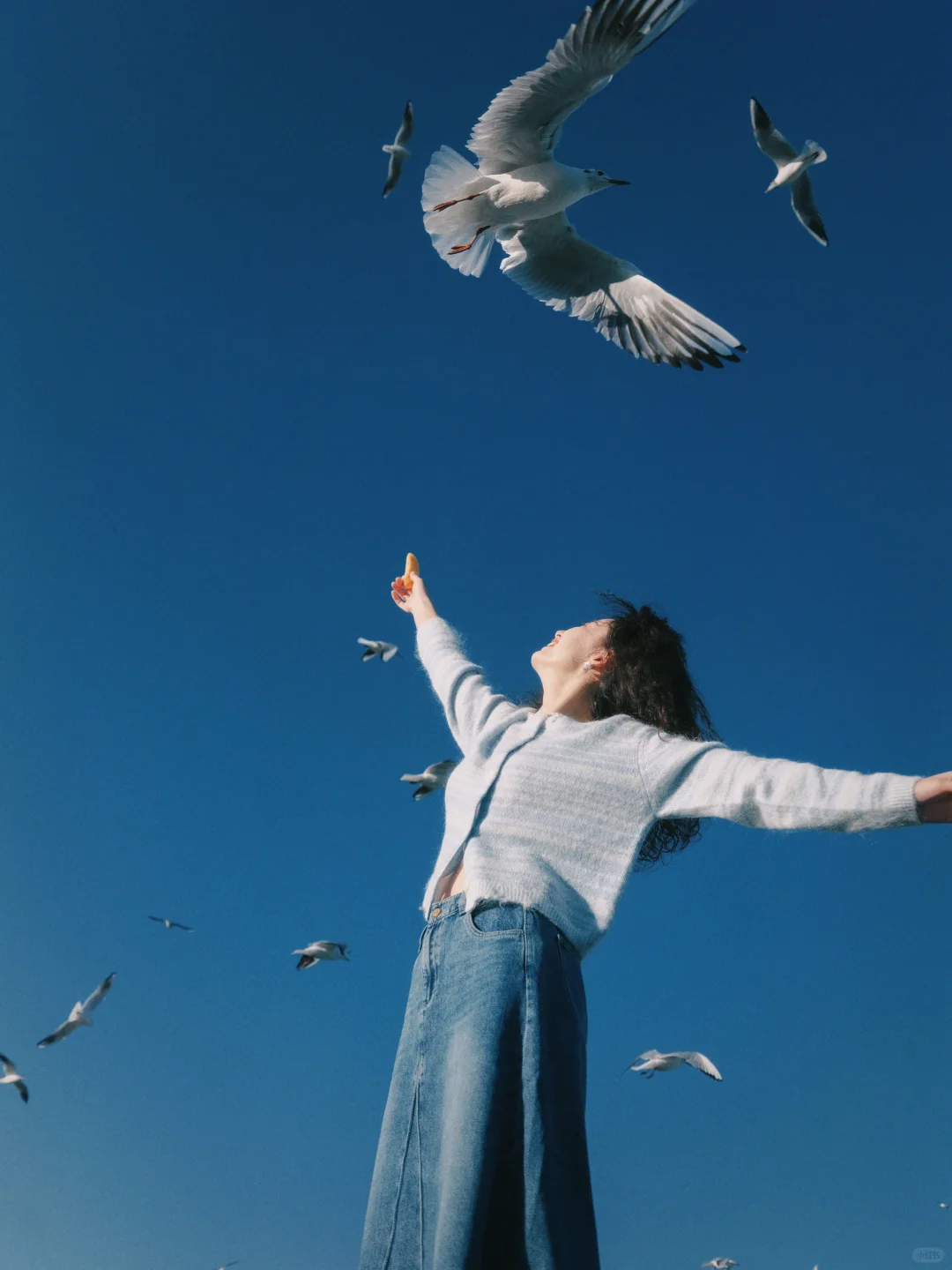 我太爱这种自由感和生命力了！