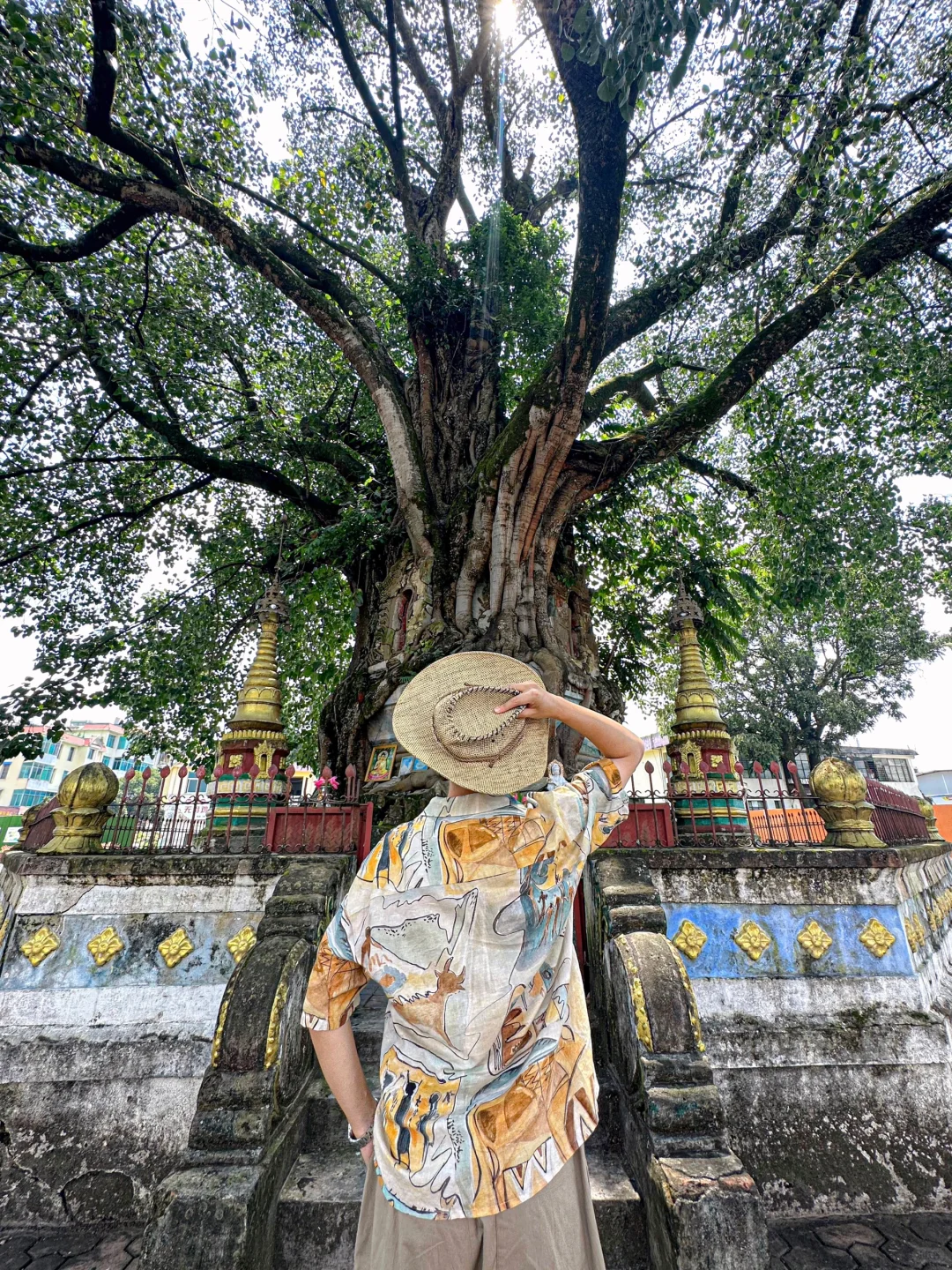 迄今为止，我最喜欢的城市出现了！！