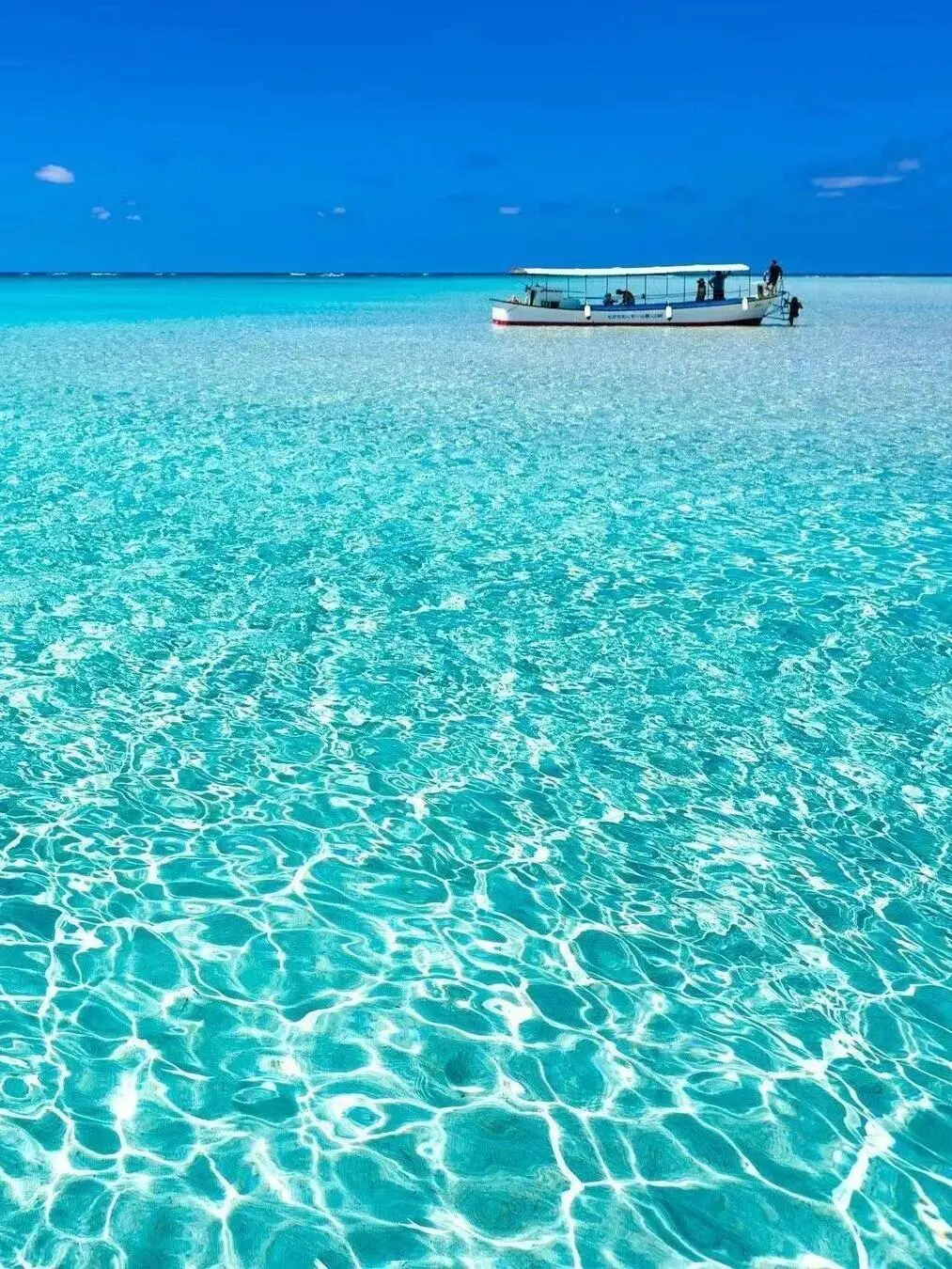 真心建议😅春节还是去斐济吧，划算哭😭