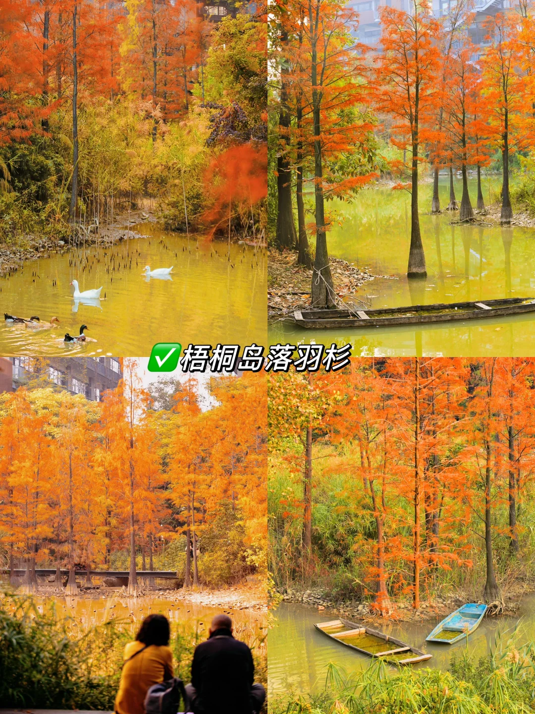 接下来深圳，堪称国内旅行天花板！附详细攻略