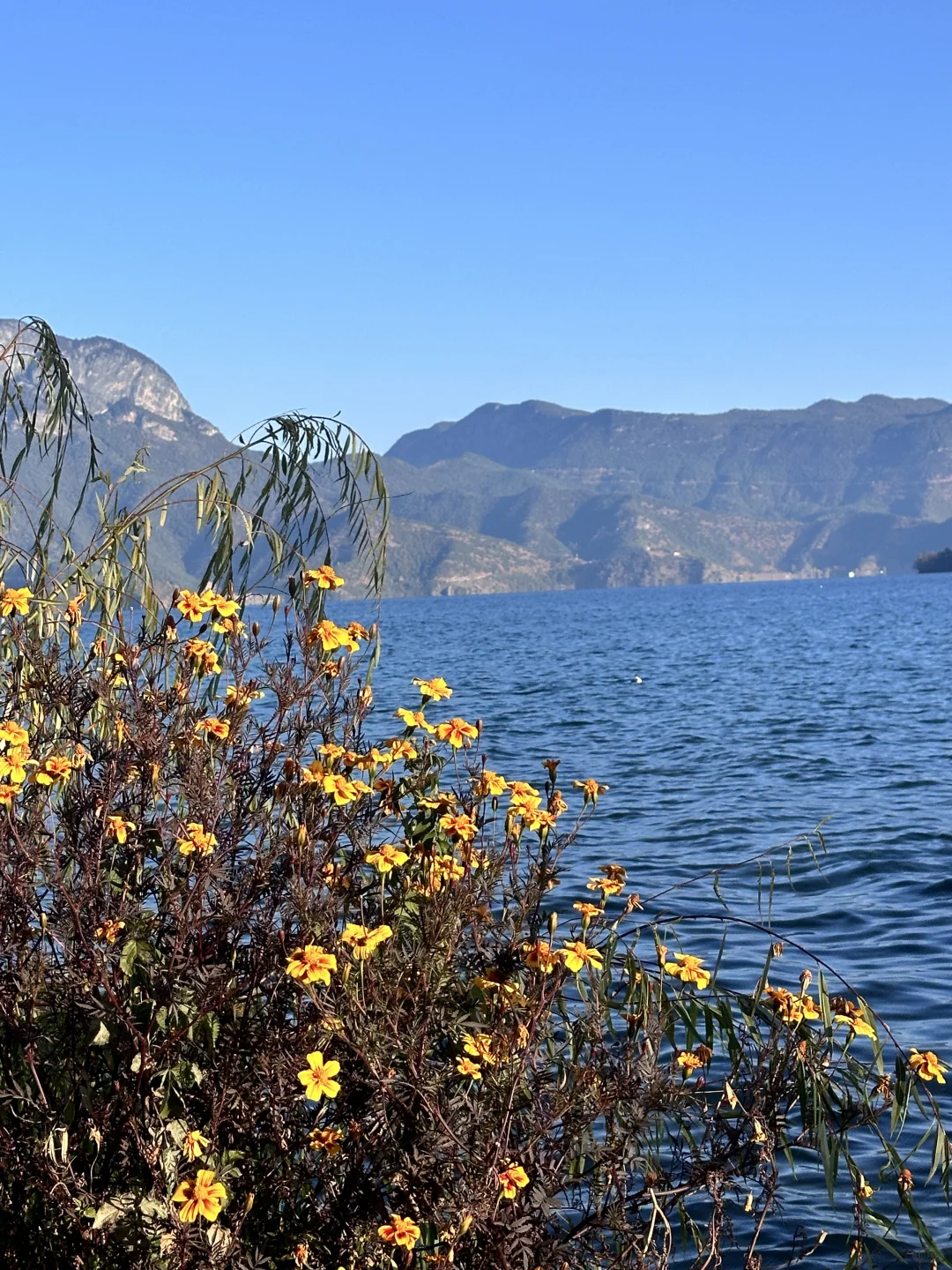 2024旅游结算|在云南幸福触手可及!!!!