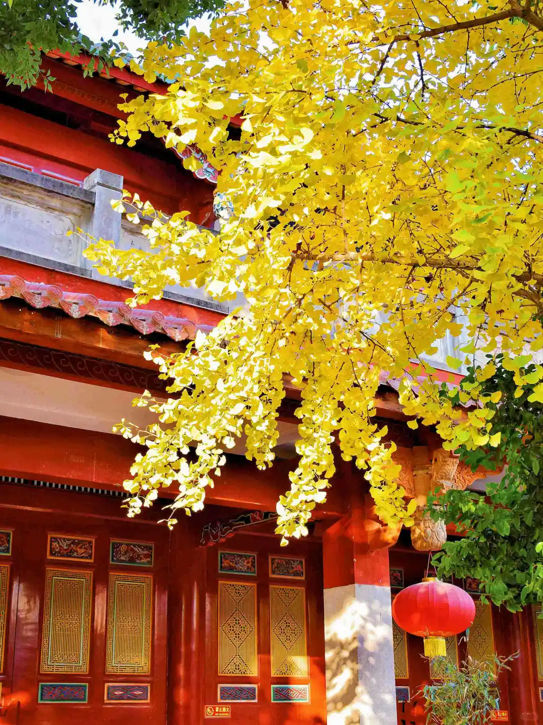 迄今为止，我最喜欢的世遗小城出现了！！！