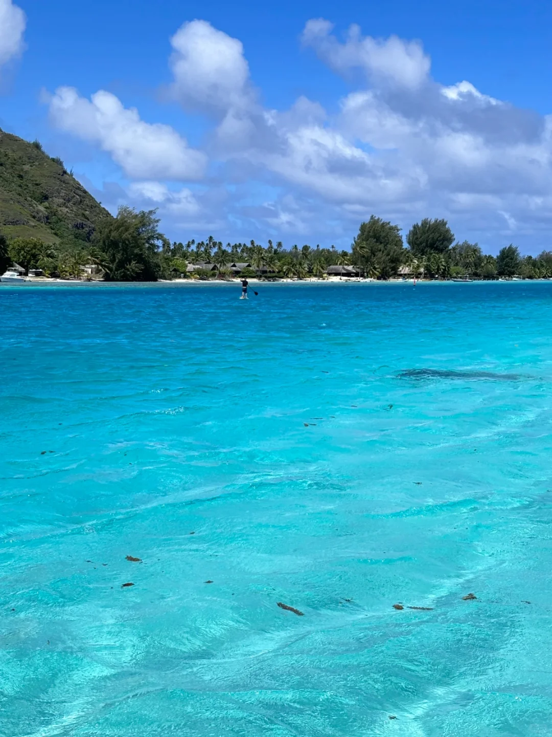 真心建议😅春节还是去斐济吧，划算哭😭