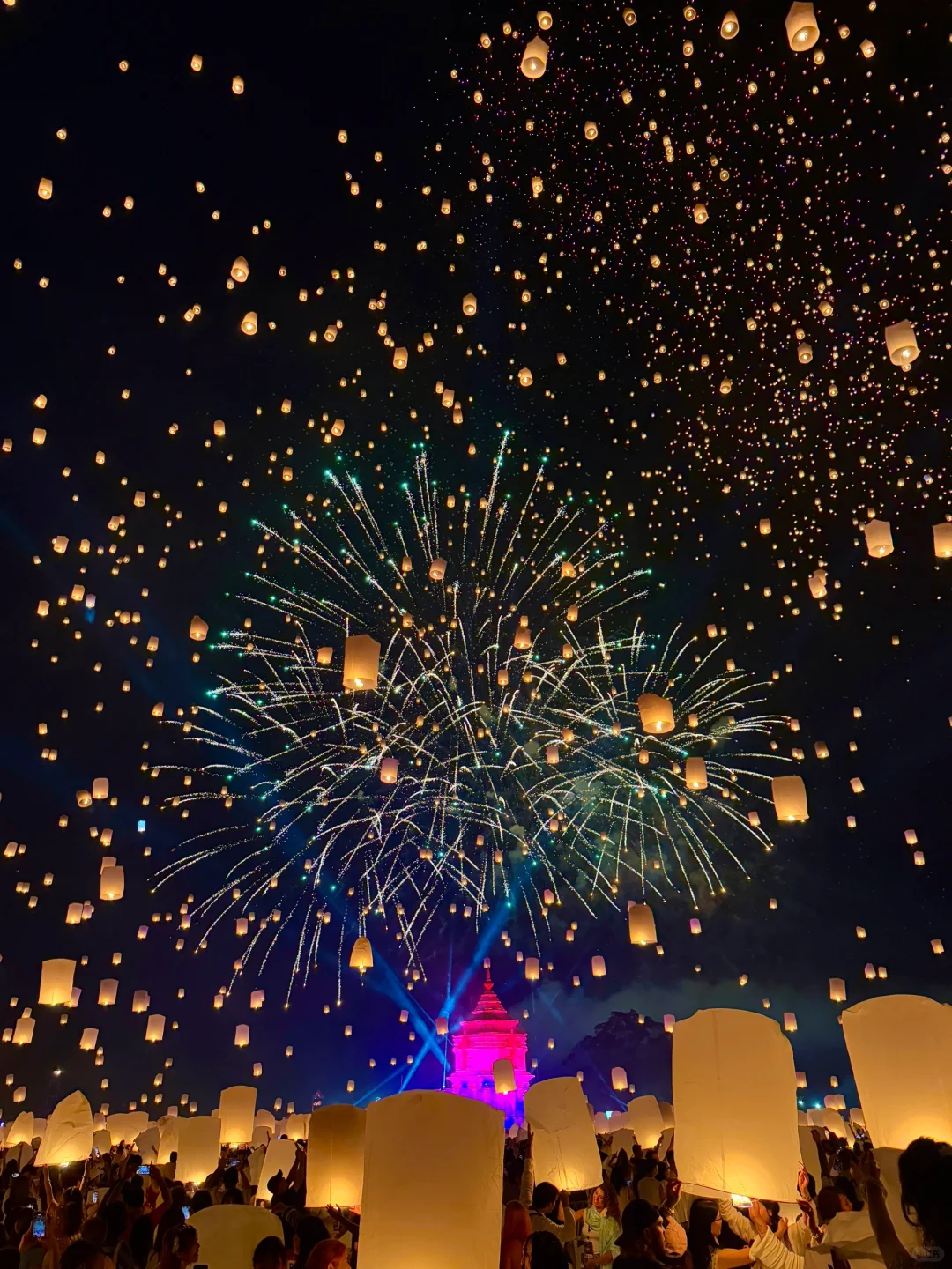 2024旅行结算｜我的年度live图