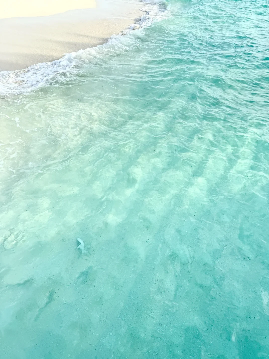 真心建议😅春节还是去斐济吧，划算哭😭