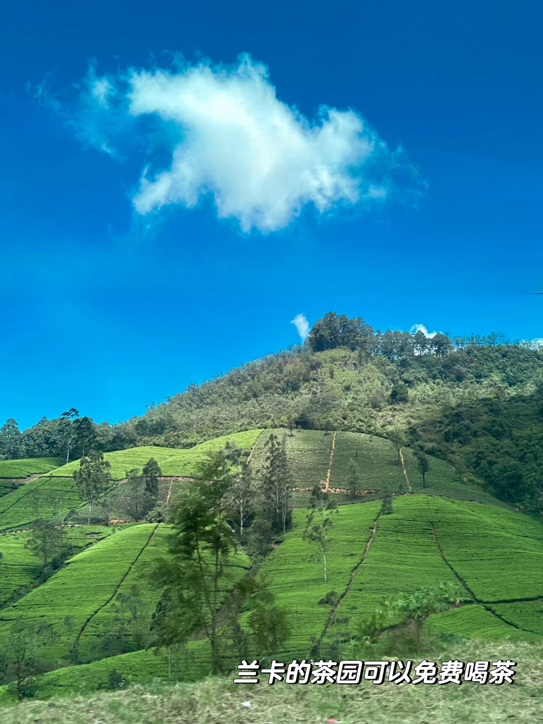 我放弃泰国了😭斯里兰卡真的又便宜又安全!