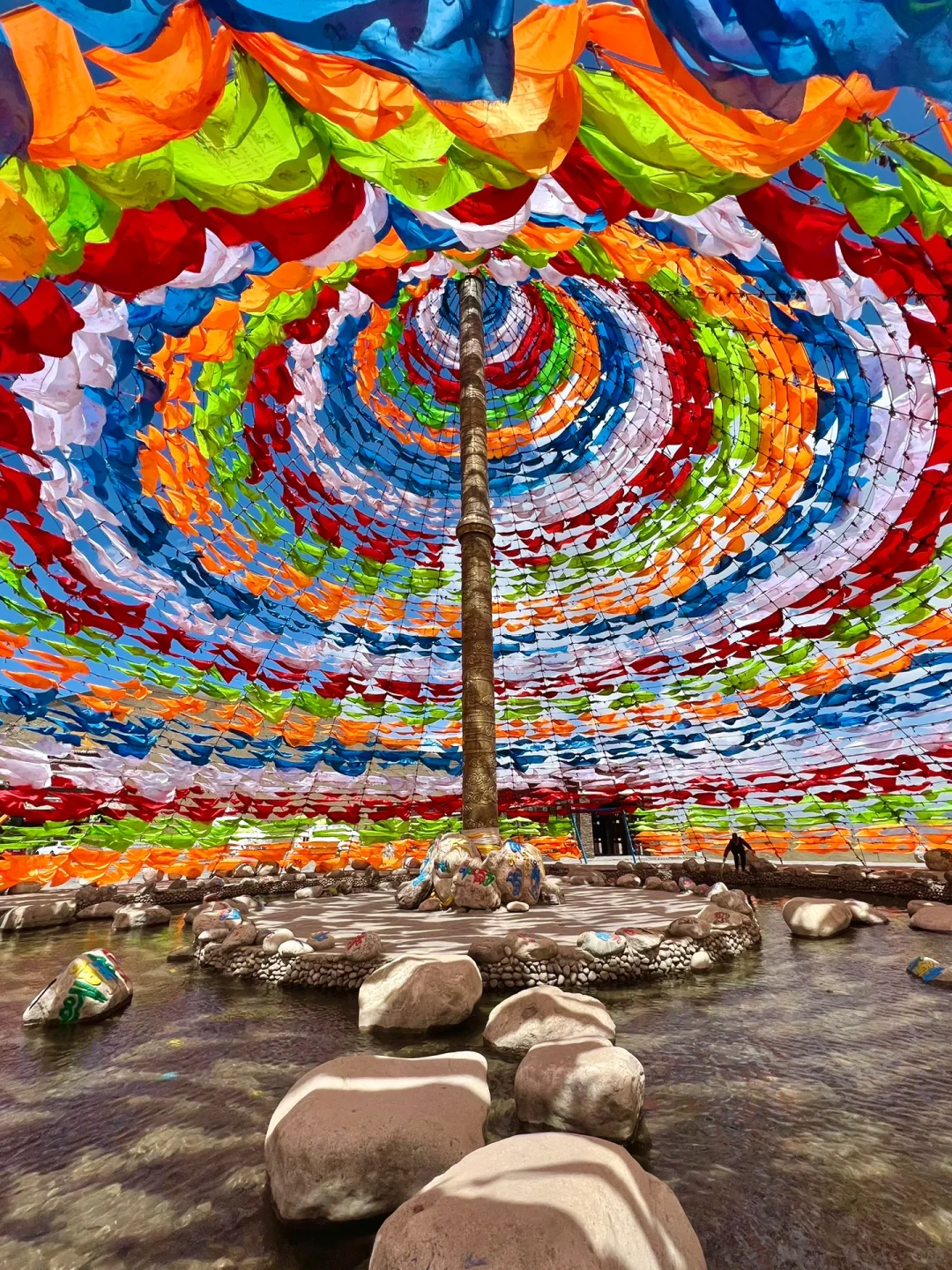 2024旅行结算｜我的年度live图