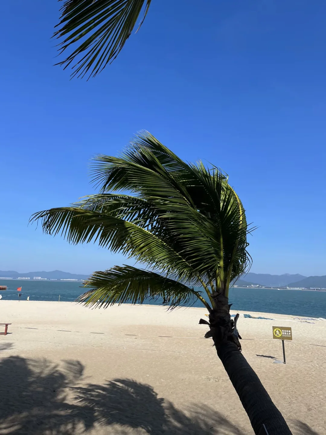 12.17三亚已回，消费观崩塌，白攒了两个月的。