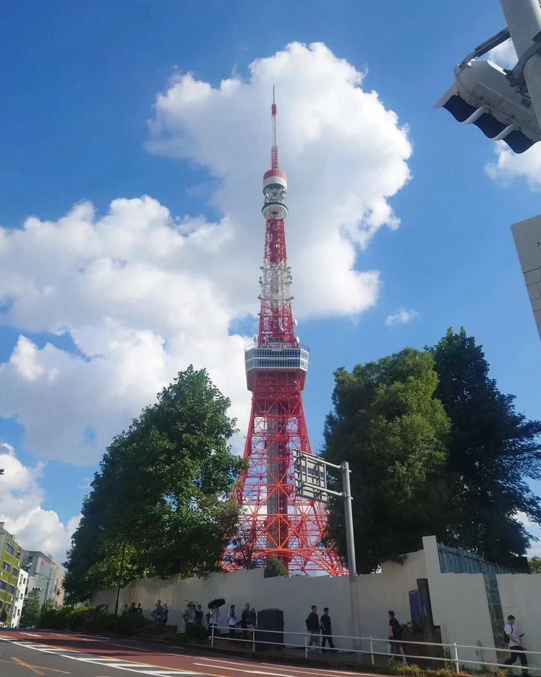 日本跟团让我感受到了信息茧房的可怕😱