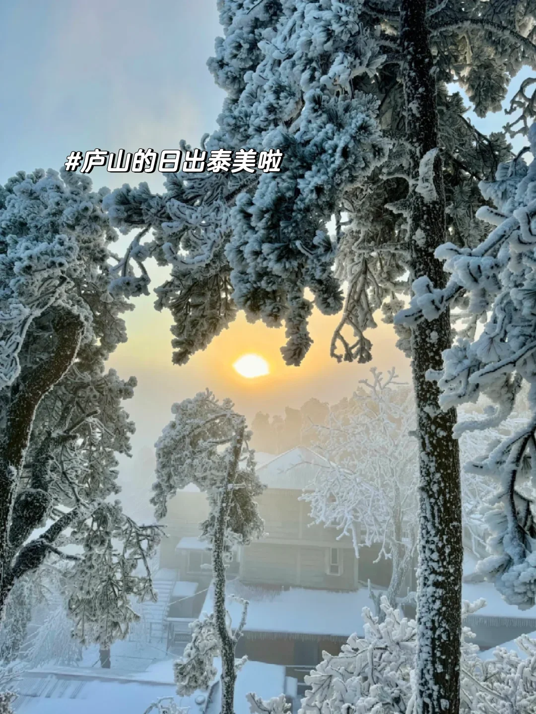 听劝👂12-1月来庐山的姐妹请🐴住❗️