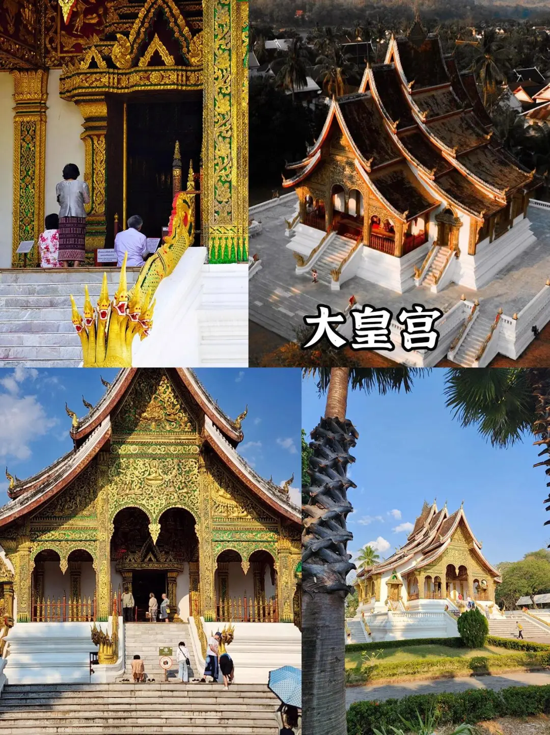 刚从老挝回来,不知当讲不当讲💢💢