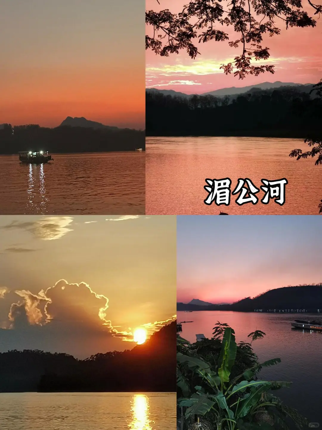 刚从老挝回来,不知当讲不当讲💢💢