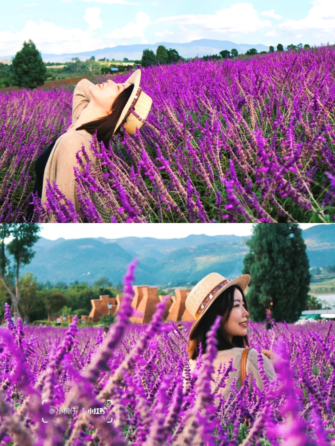 反向旅游成功‼️云南滇东南小环线☀️人真的少