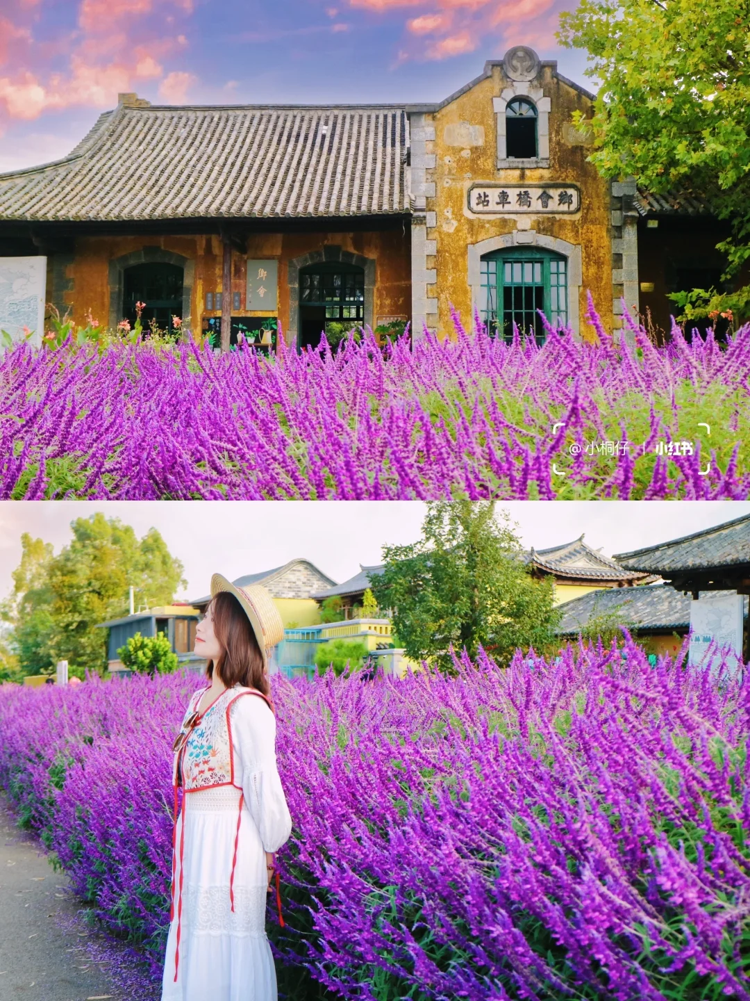 反向旅游成功‼️云南滇东南小环线☀️人真的少