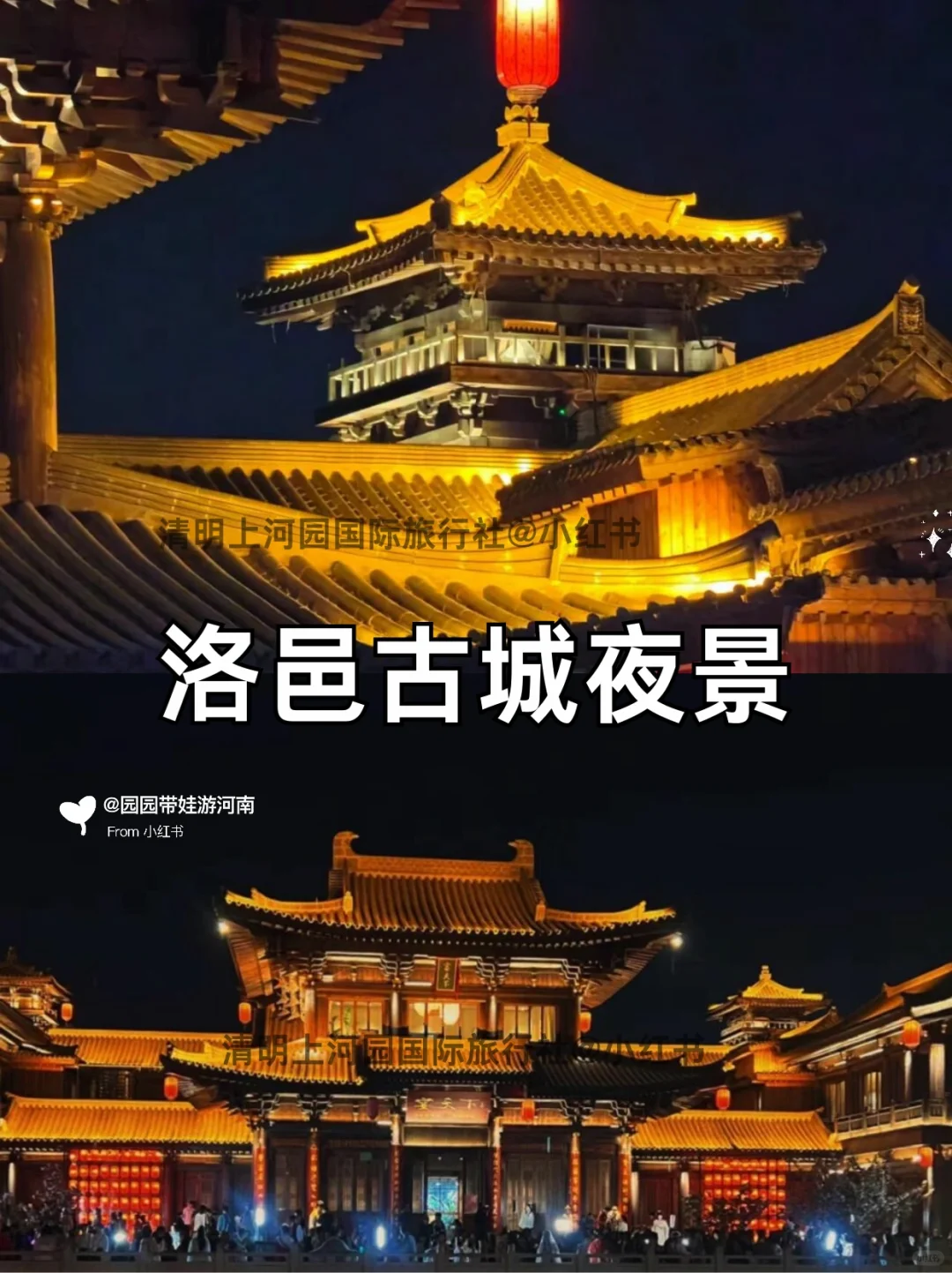12🈷️来洛阳旅游的你✅千万不要错过这篇