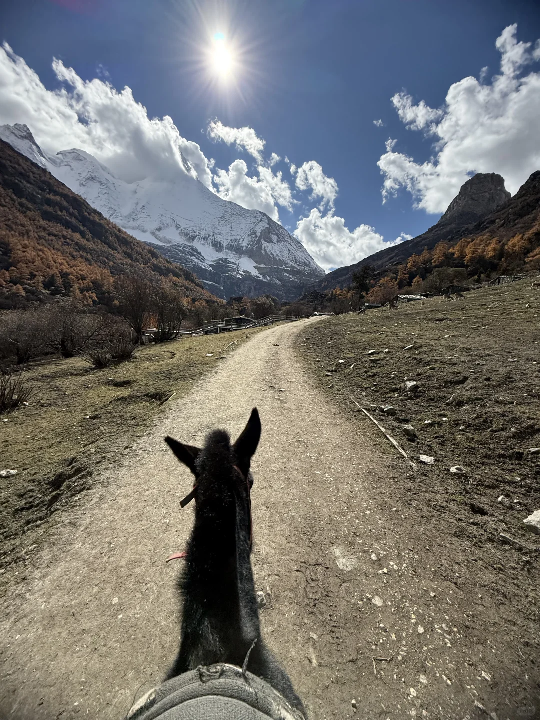 稻城的太阳我恨你