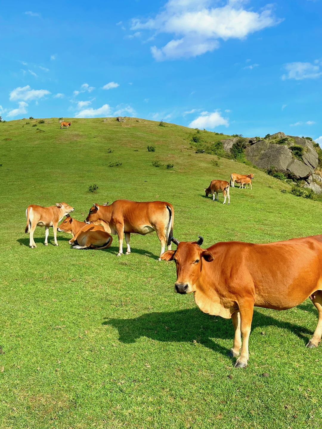 福建不止有海岛，还有福建版小瑞士～
