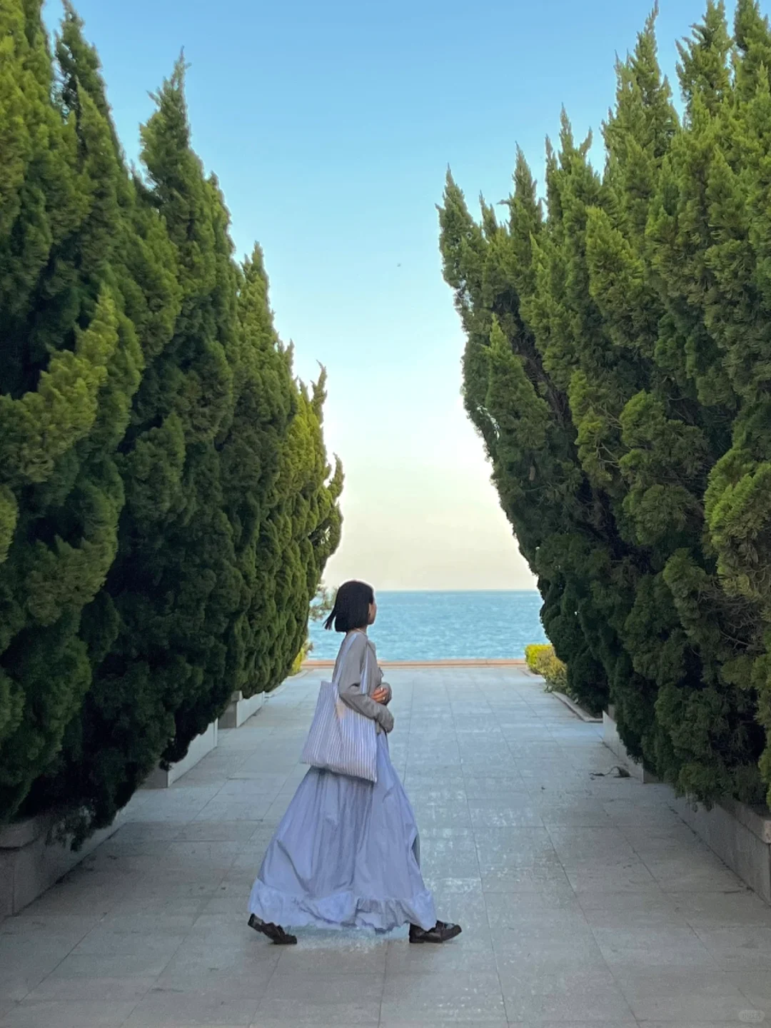 青岛真的太适合情侣seawalk 🌳 (附机位)