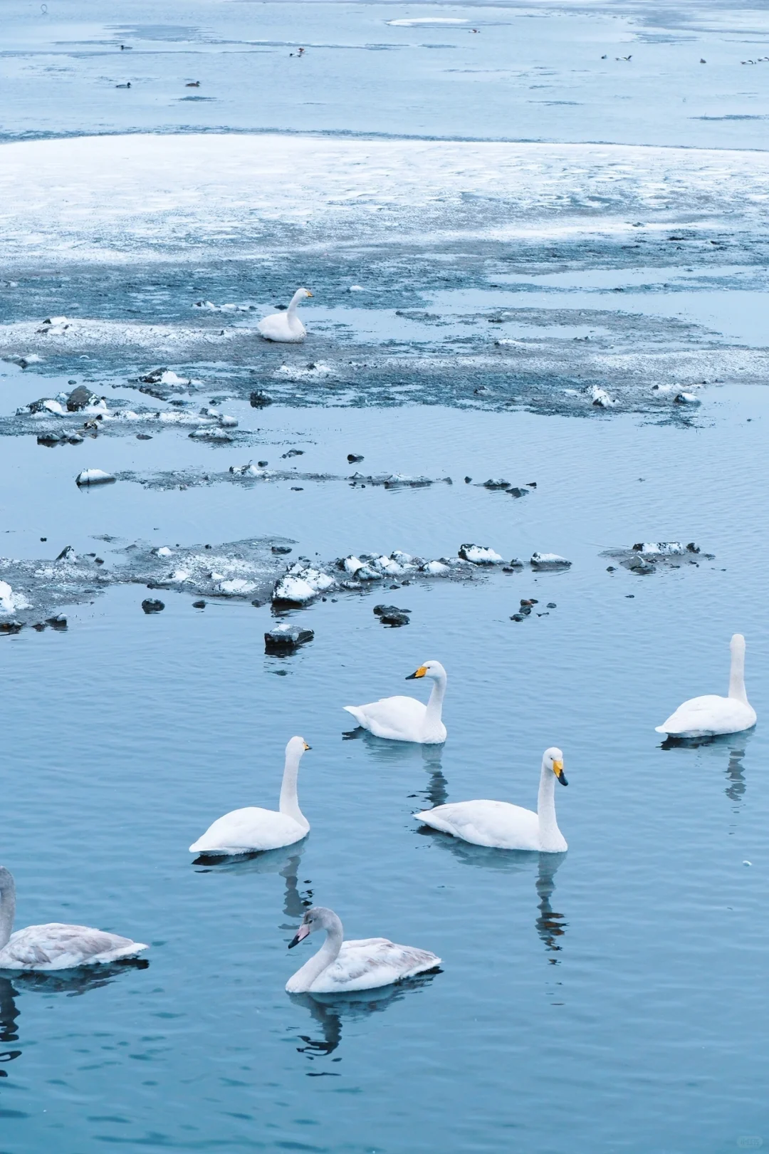 威海看雪刚回来😭说一些我的真实感受！！