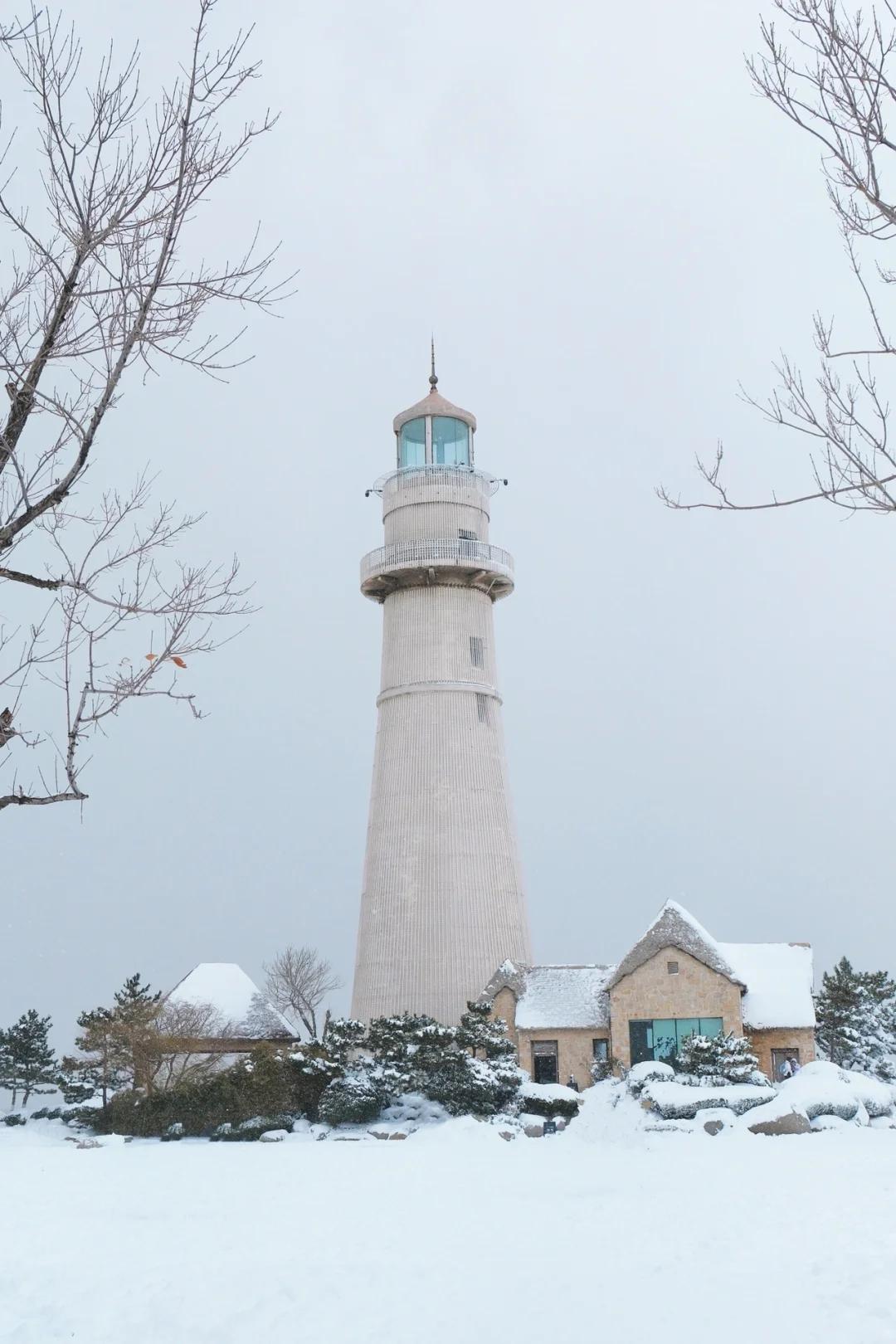 威海看雪刚回来😭说一些我的真实感受！！