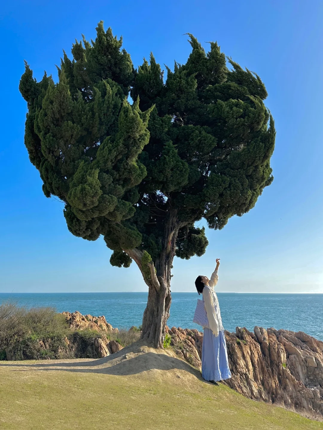 青岛真的太适合情侣seawalk 🌳 (附机位)