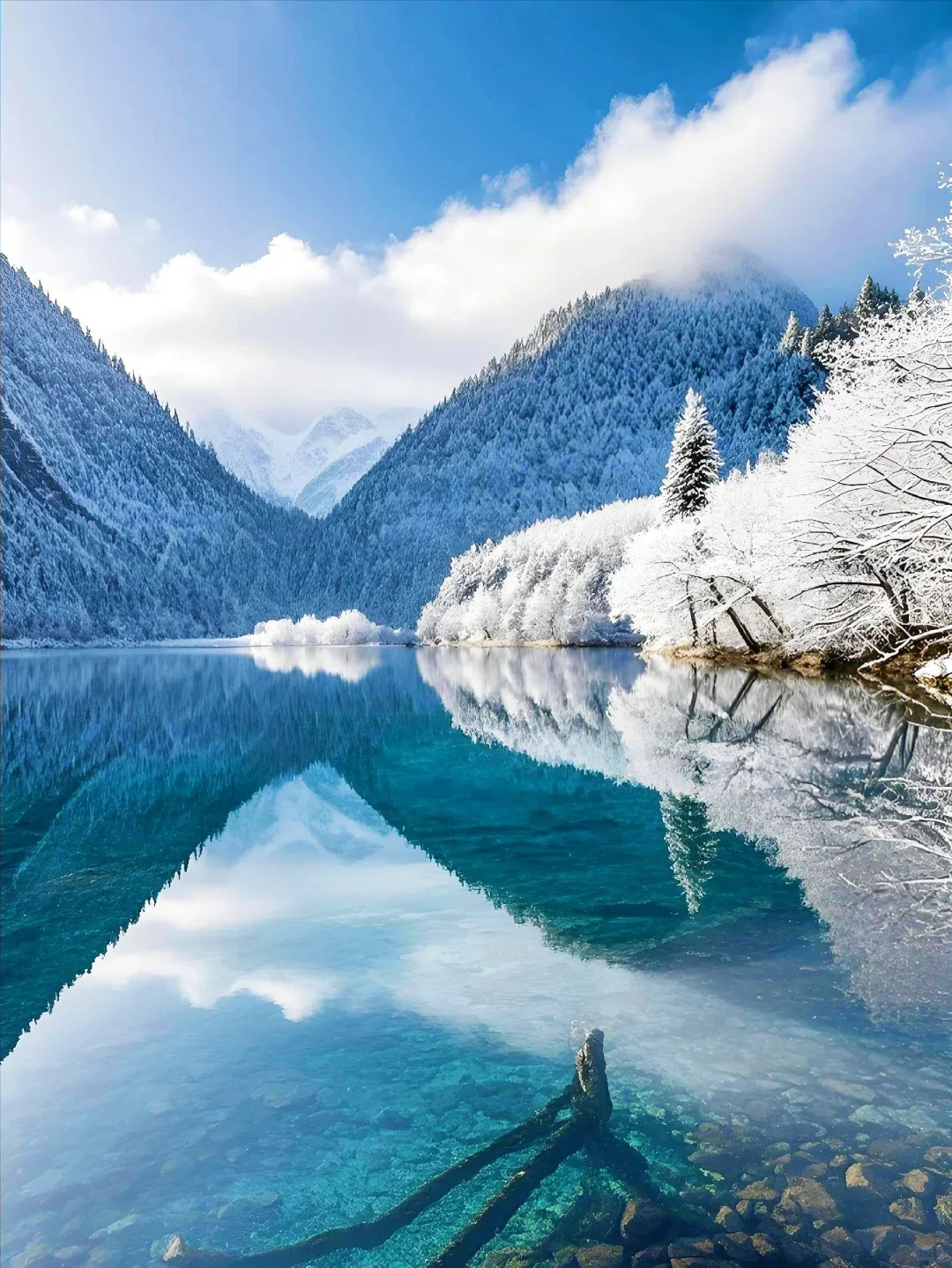 淡季的九寨沟，真的劝退不了一点！！