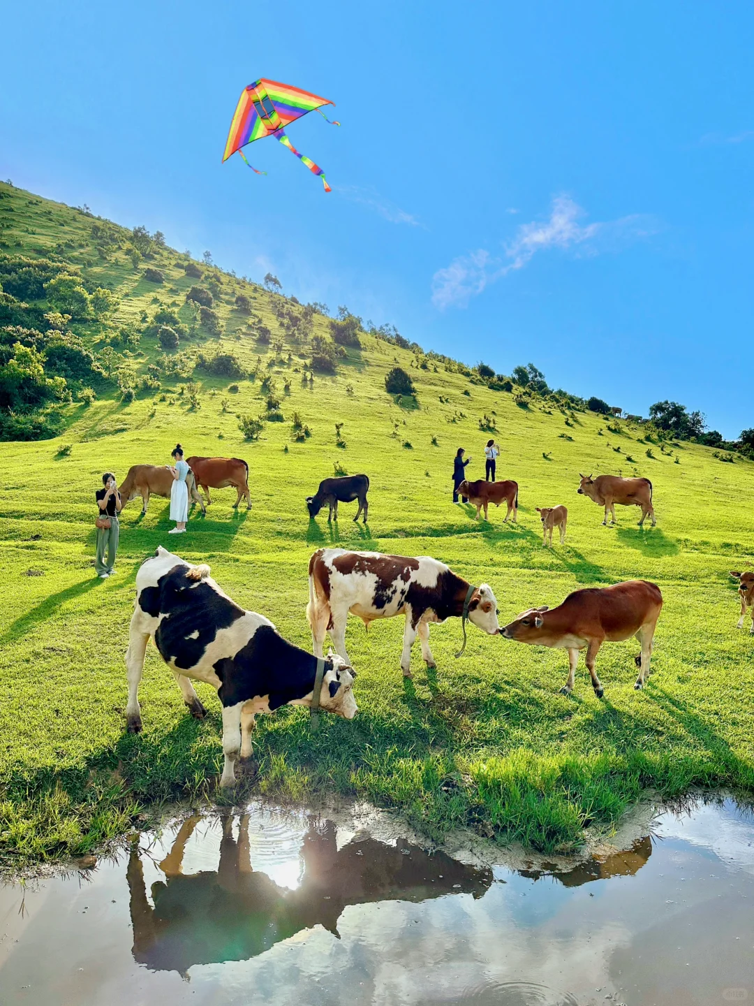 福建不止有海岛，还有福建版小瑞士～