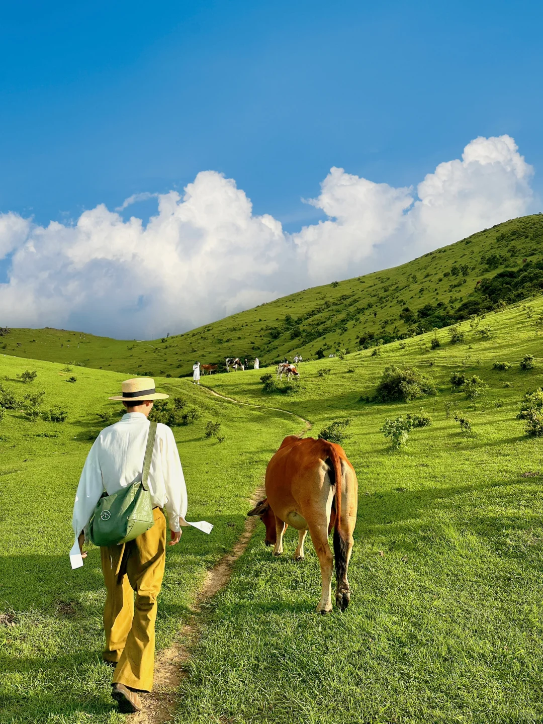 福建不止有海岛，还有福建版小瑞士～