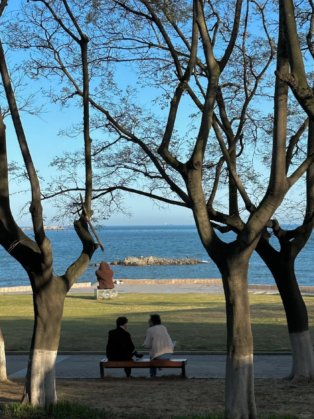 青岛真的太适合情侣seawalk 🌳 (附机位)