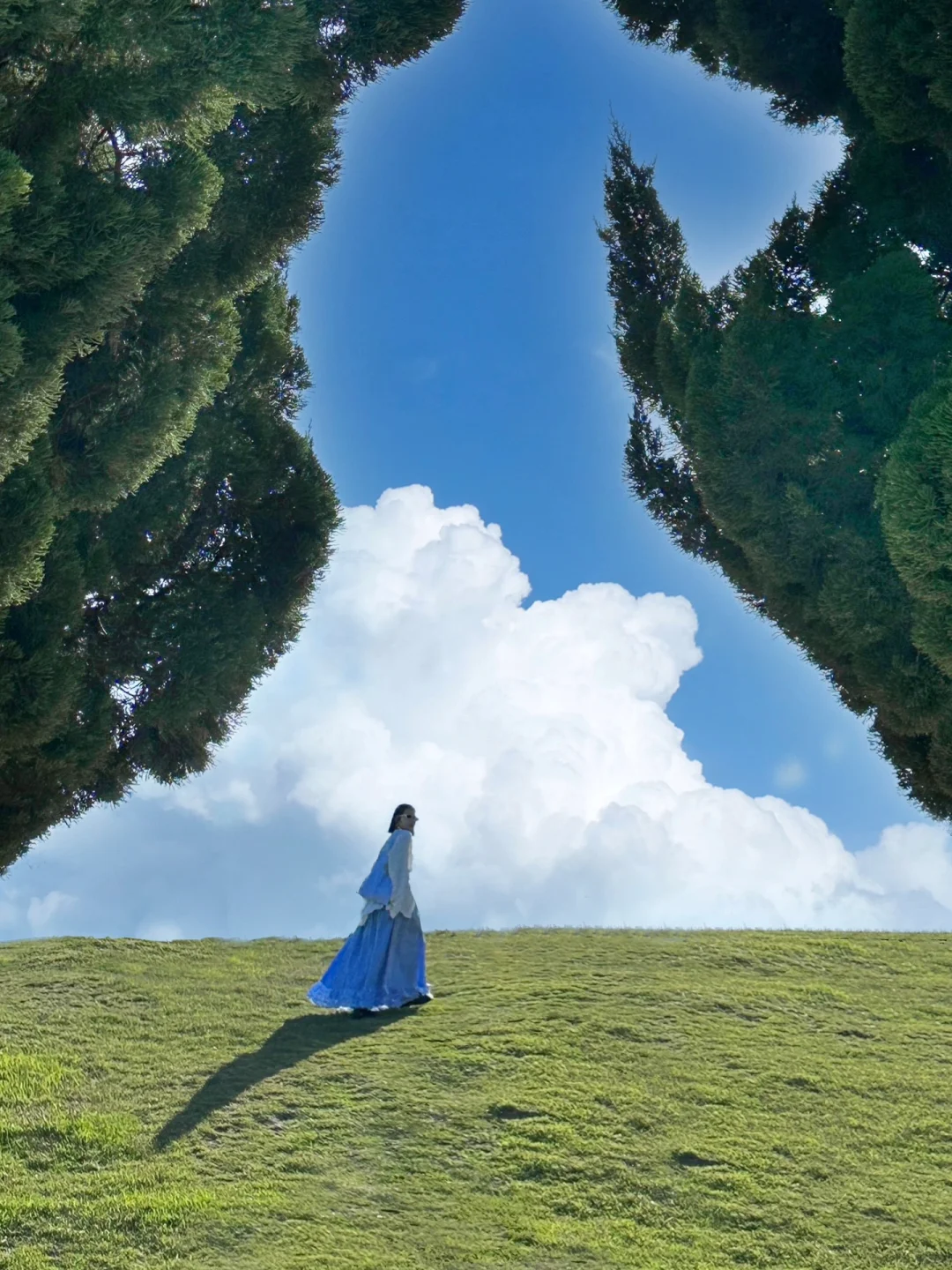 青岛真的太适合情侣seawalk 🌳 (附机位)