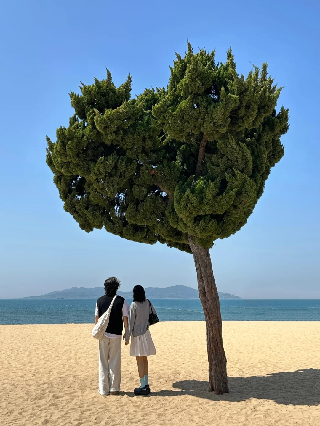 青岛真的太适合情侣seawalk 🌳 (附机位)