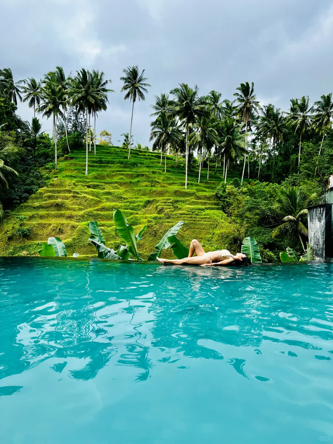 巴厘岛乌布网红梯田cretya打卡日