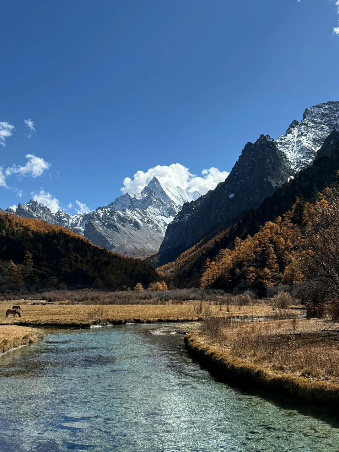 稻城的太阳我恨你